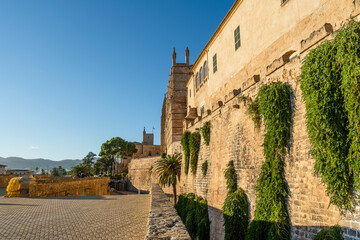 beautiful view of cathedral in Palma de Mallorca, Spain - 767859647