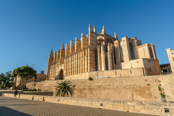 beautiful view of cathedral in Palma de Mallorca, Spain
