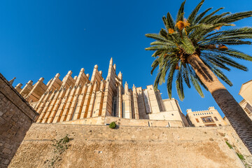beautiful view of cathedral in Palma de Mallorca, Spain - 767859698