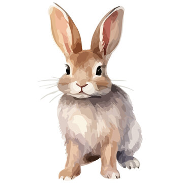 watercolor Vector of a Cute rabbit, isolated on a white background, Illustration clipart, Drawing art, Graphic painting design.