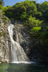 Fototapeta na wymiar 神戸　布引の滝