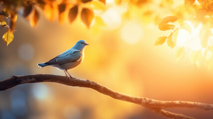 bird on branch at sunset