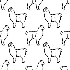 Seamless pattern with llama animal on white background. - 767866470