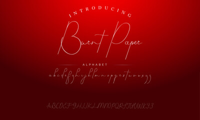 signature Font Calligraphy Logotype Script Brush Font Type Font lettering handwritten