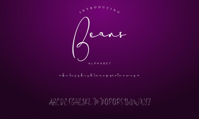 signature Font Calligraphy Logotype Script Brush Font Type Font lettering handwritten