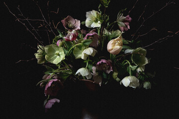 Vintage hellebores bouquet in a jug on a black background. Blur and selective focus. Low key photo....