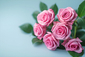 pink roses bouquet on blue background