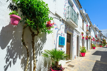 Street with pots in in Estepona, Andalusia, Spain, Europe