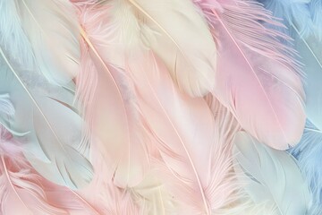 Fototapeta na wymiar pink feathers background