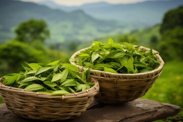 Ceylon tea in wicker baskets on lush green plantation, exuding serenity and natural beauty - obrazy, fototapety, plakaty