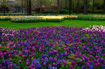 Spring flower park with green grass, trees and blooming flowers - 767877841