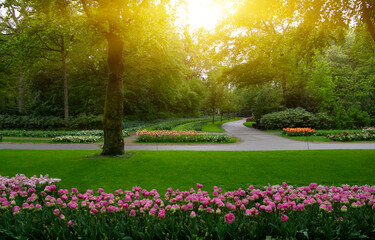 Spring flower park  in the sunlight - 767878825
