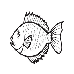 Fish coloring pages. Fishes outline vector for coloring book
