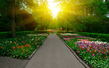 Garden stone path in a botanical garden - 767879455