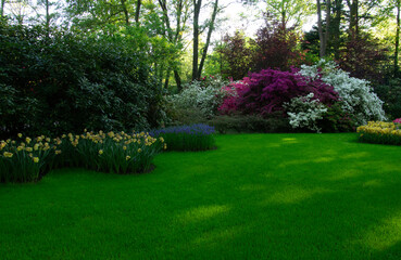 Garden with blooming spring flowers - 767879684