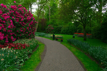 Garden stone path in a botanical garden - 767879822