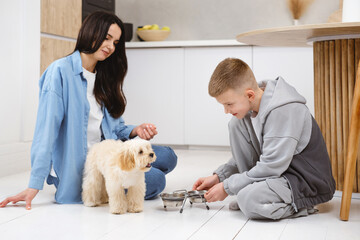Mother and son feeding maltipoo dog on the kitchen at home