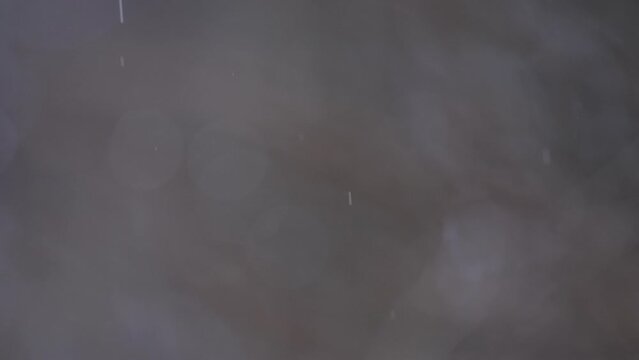 フルHD240pスーパースロー映像：雨の中滴り落ちる雫