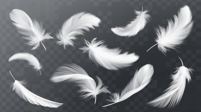 Fototapeta A modern illustration showing white fluffy twirled feathers falling on a transparent background in a realistic style