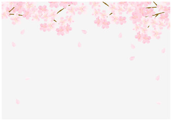 Obraz na płótnie Canvas 桜の花が美しい春の桜フレーム背景46灰色