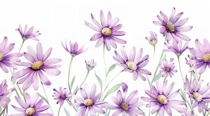 A Watercolor Painting Clipart of Purple Daisie