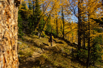 Woman hiker walking through the Rocky Mountains of Canada.