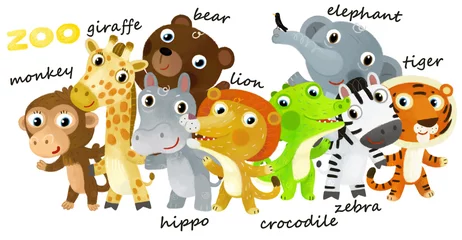 Rolgordijnen Cartoon zoo scene with zoo animals friends together in amusement park on white background with space for text illustration for children © honeyflavour
