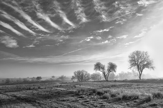 Misty black and white landscape with curious lines of clouds and trees on the horizon. Photograph taken in Batres, Madrid (Spain).