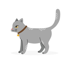 A gray cat with a pendant and a collar on his neck stands sideways.Pets.Flat cartoon vector illustration isolated on a white background