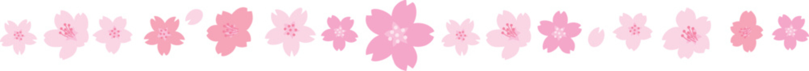 ピンクの桜のラインイラスト