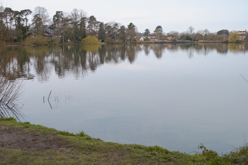 Morning walk at Petersfeild heath pond, Hampshire, UK