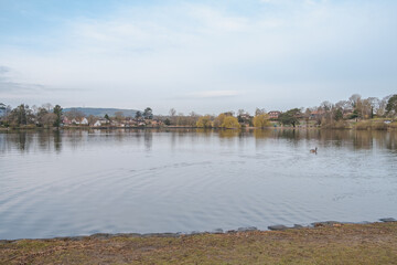 Morning walk at Petersfeild heath pond, Hampshire, UK