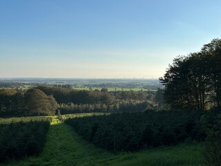 morning in the countryside