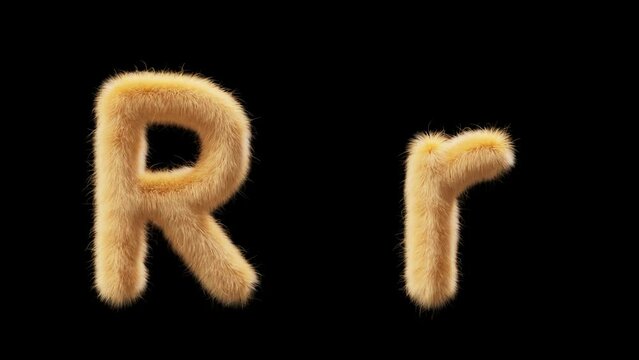 3D animation of a uppercase and lowercase woolen letter R. Wool in the style of the pet Chick. The file contains an Alpha Channel. ProRes4 RGBA