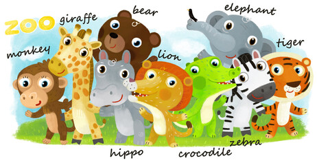 Cartoon zoo scene with zoo animals friends together in amusement park on white background with space for text illustration for children - 767896850