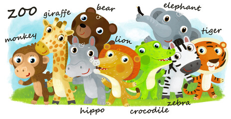 Cartoon zoo scene with zoo animals friends together in amusement park on white background with space for text illustration for children - 767897262