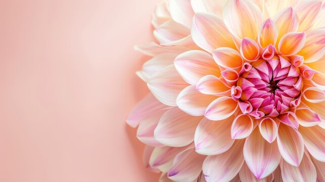 Close up Dahlia autumn flower with smooth pastel watercolor design. AI generated image