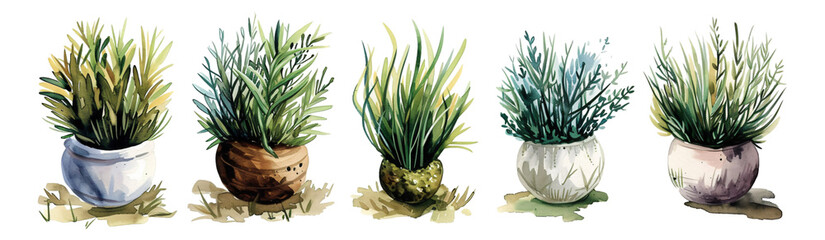 Watercolor style plants - 767908064
