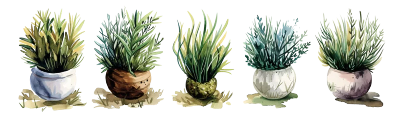 Crédence de cuisine en verre imprimé Cactus Watercolor style plants