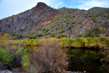 Fototapeta na wymiar Salt River Recreation Area Arizona