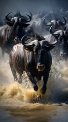 Fotobehang A herd of wildebeest are running through a river © liliyabatyrova