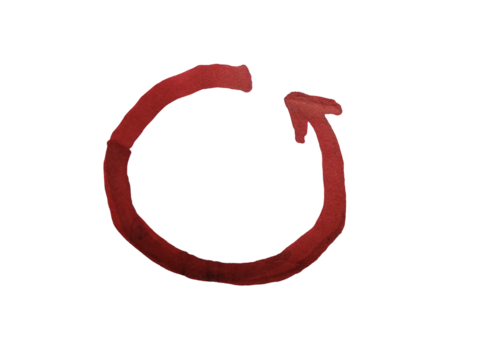Realistic circle arrow