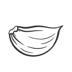 Vector outline garlic illustration. Ripe garlic clove sketch. Vegetable ingredient for cooking.