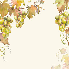 Square card with grapes bunches. Hand painted watercolor illustration.