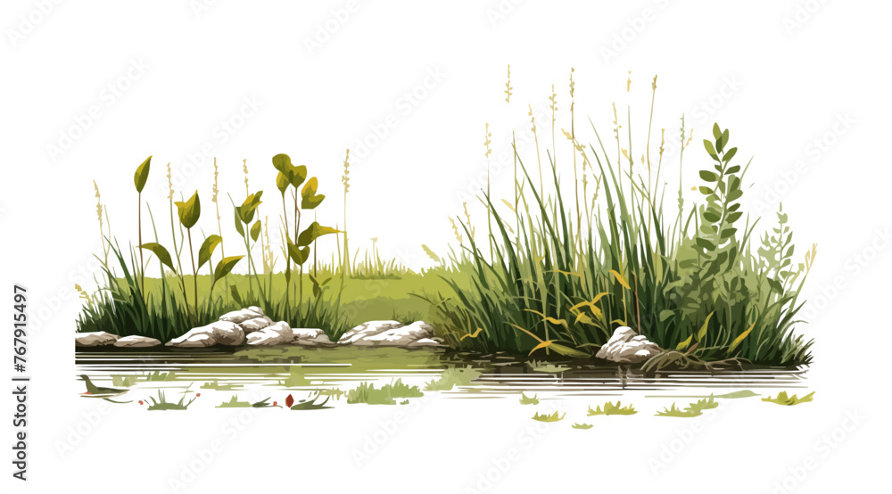 Poster marsh vegetation set isolated vector style with transparent background illustration