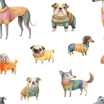Watercolor seamless pattern with dogs in sweaters, pug, greyhound, bulldog, poodle, dashshund. Isolated on white background. Perfect for card, fabric, tags, invitation, printing, wrapping.	
