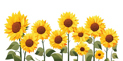 sunflowers vector flat minimalistic isolated vector style illustration