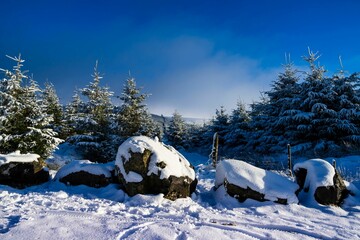 Winter day in The Wicklow Mountains