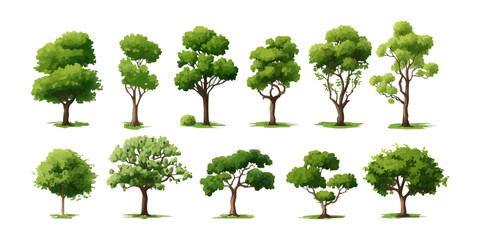 field trees set isolated vector style with transparent background illustration