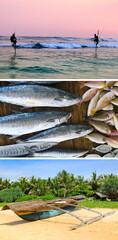 Traditional fishing in the Indian Ocean. Collage.